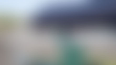 Growing with the sun