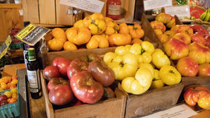 Kyle's field update: Late summer in our fields