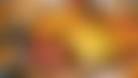 Kyle's field update: Late summer in our fields