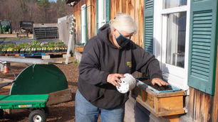 Avoid this common container gardening mistake!