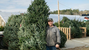 News about 2024 and Christmas at our farm