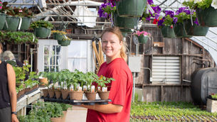 Jeff's farm update: A visual feast is waiting for you