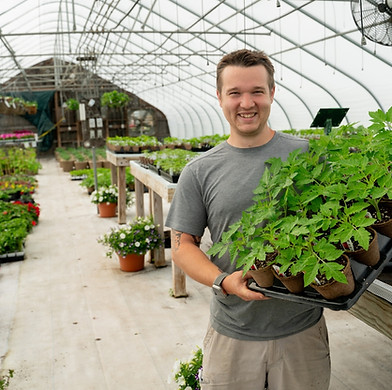 garden center Tomato Plants  Mark.jpg