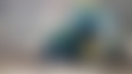 Kyle's Farm Update: Good news about planting!