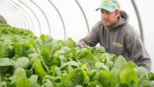 Kyle's farm update: Planting and picking has started