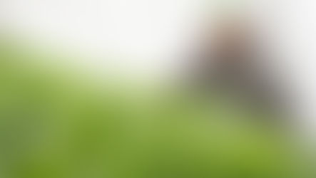 Kyle's farm update: Planting and picking has started