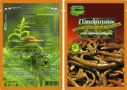 Папоротник