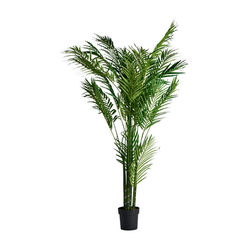 Buy PLANT PALMERA table decoration accessoir in Mijas Costa home design