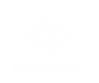 Devconex logo white.png