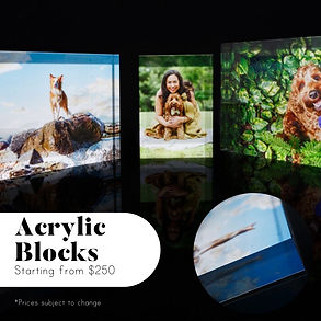 Acrylic Blocks.jpg