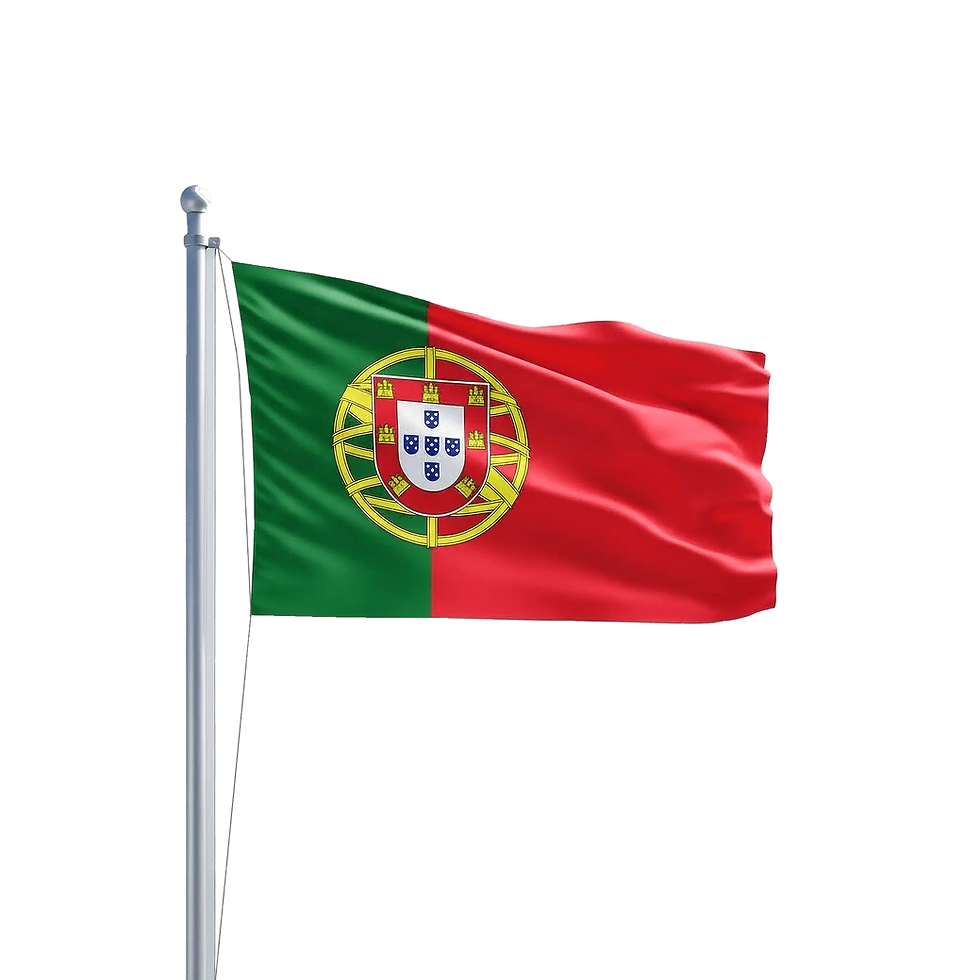 Explorando a Relevância do Setor de Investigação Privada em Portugal e Seu Impacto na Comunidade