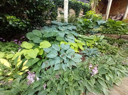 NGS 5 Beckett Drive