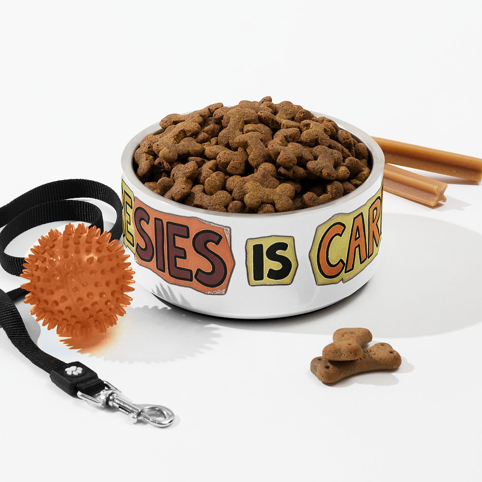 Thumbnail: Sharesies is Caresies Pet bowl