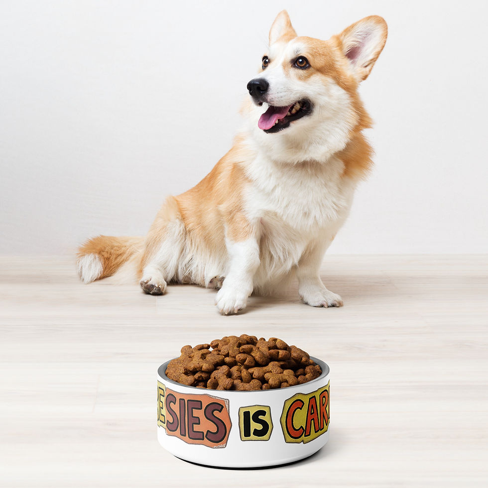 Thumbnail: Sharesies is Caresies Pet bowl