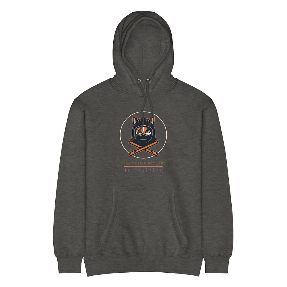 Thumbnail: SNSS in Training Unisex premium mid-weight hoodie