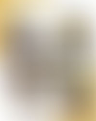 New Partnership with Cobelco