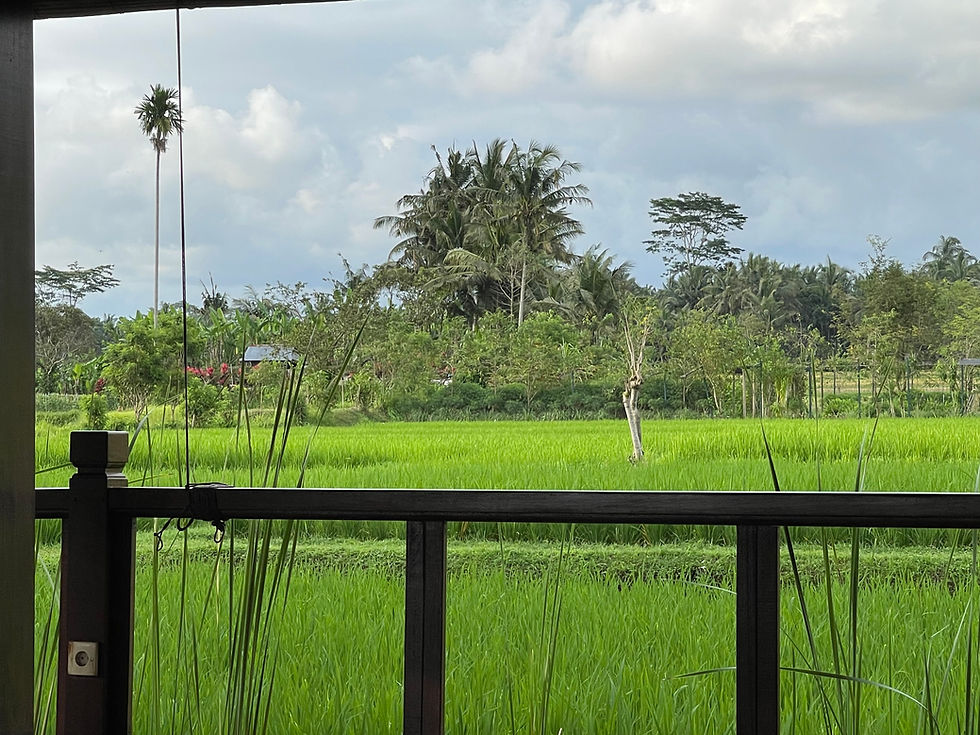 Open-air Yoga Shala overlooking Bali's lush rice fields, perfect for meditation and yoga practice.