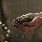 A picture of someone holding dirt, demonstrating the importance of checking soil quality