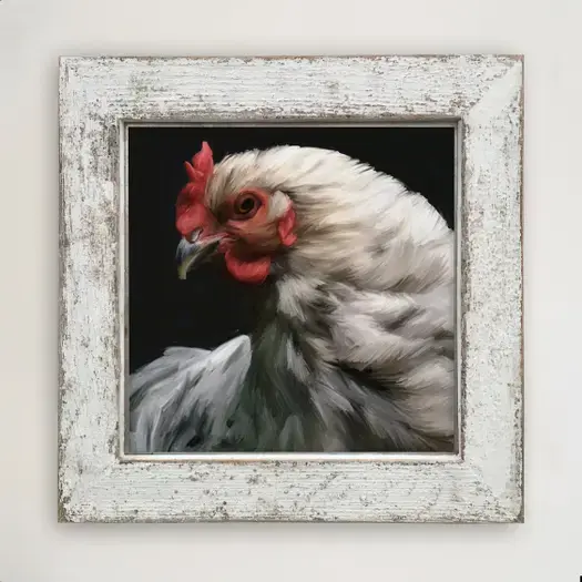 White Rooster in Rustic White Washed Frame