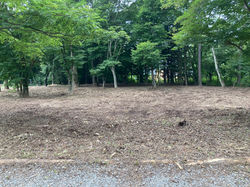 中軽井沢南エリア別荘地 土地