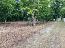 中軽井沢南エリア別荘地 土地