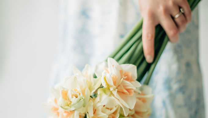 Narcissus Delnashaugh