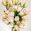 Thumbnail: Tulip Finola 