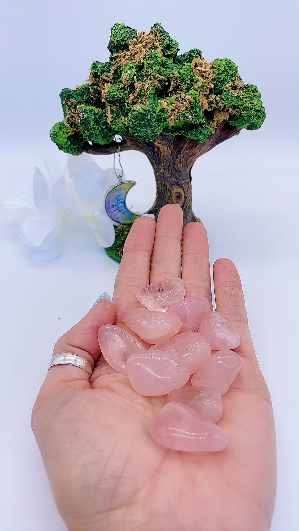 Thumbnail: Rose Quartz (Pocket Positives)