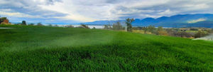 Irrigation Systems