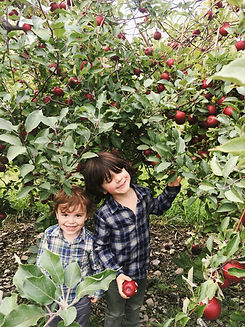 Kids Apple Picking Win A Party Ashley.jpeg