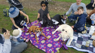 Top 5 Places to Picnic at the Farm