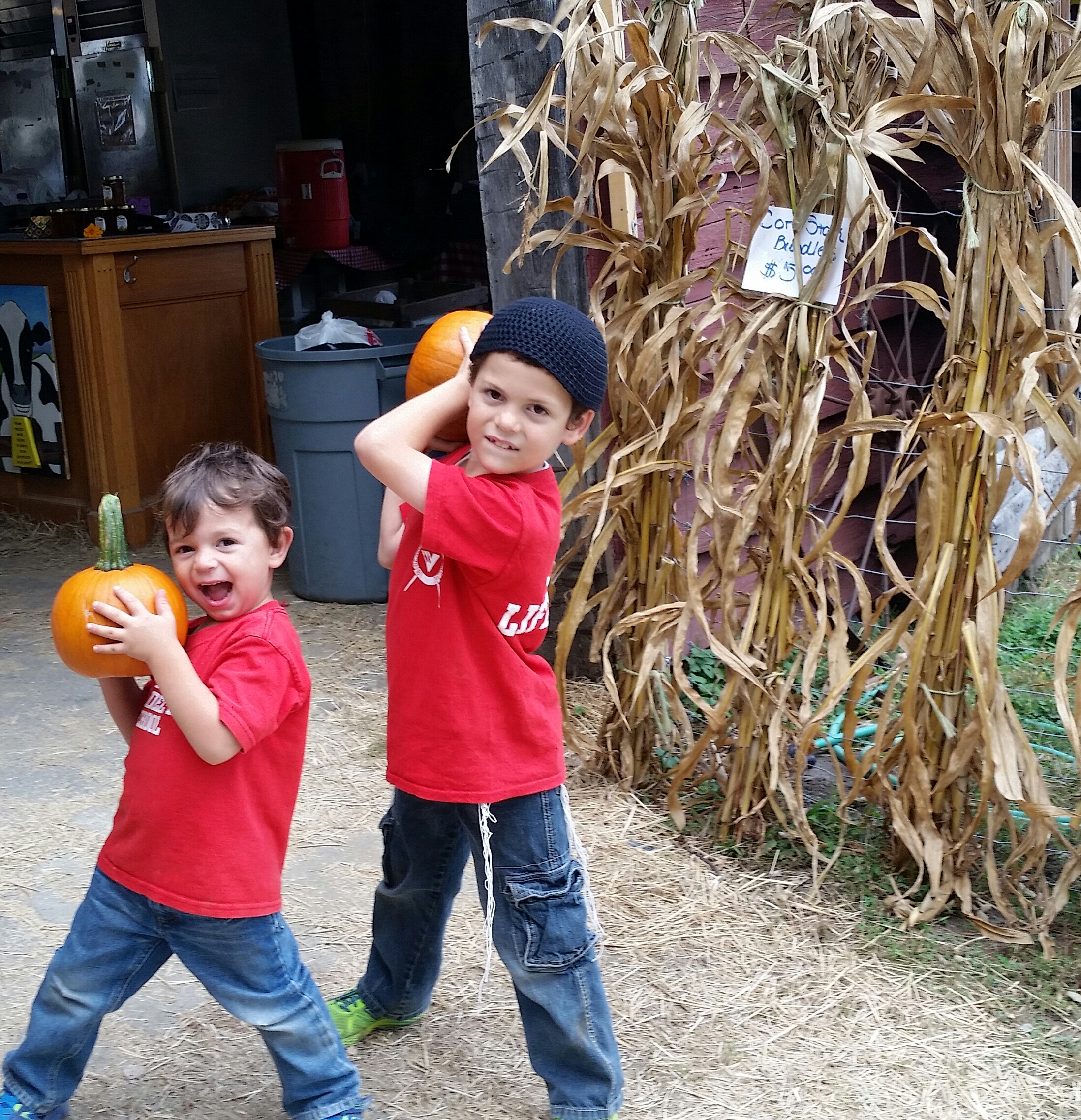 pumpkins kids ny barn