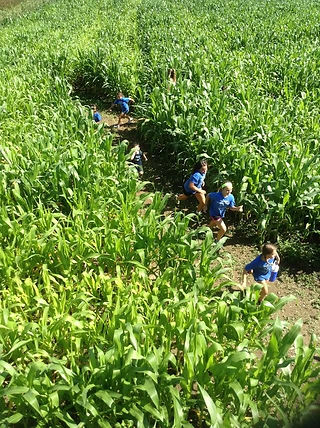 field trip kids corn maze fun fall outdo