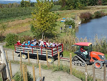 The hayride is one of 35+ activities to choose from. 