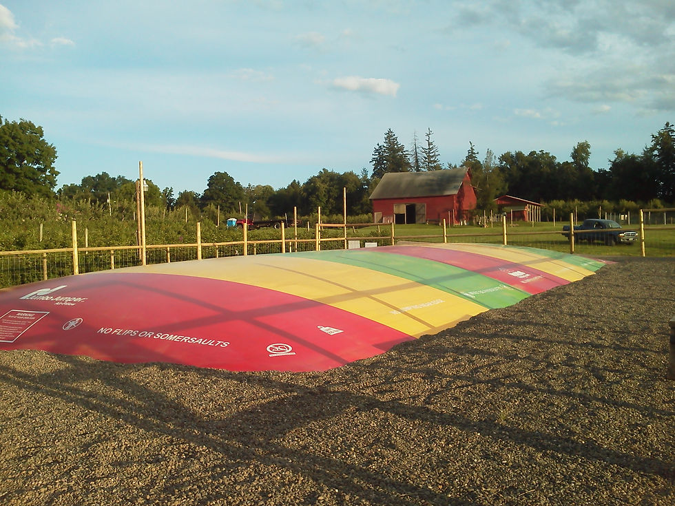 bounce pillow farm outdoor activities