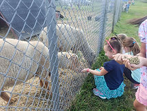 Little kids feeding our friendly farm animals in the petting area