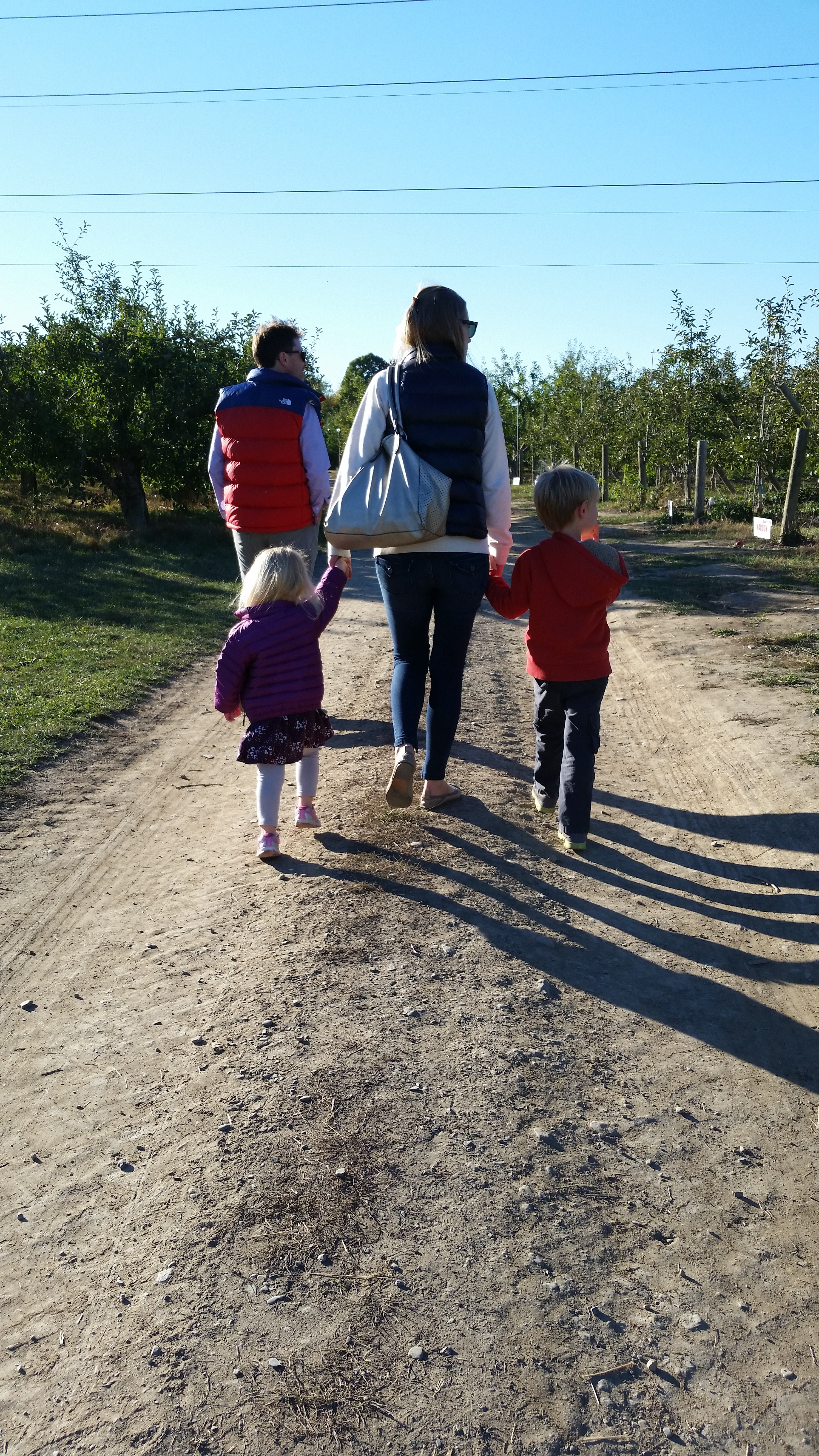 apple orchard ny apple picking