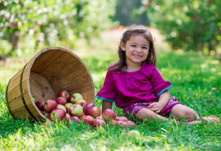 APPLES: The Favorite Snack