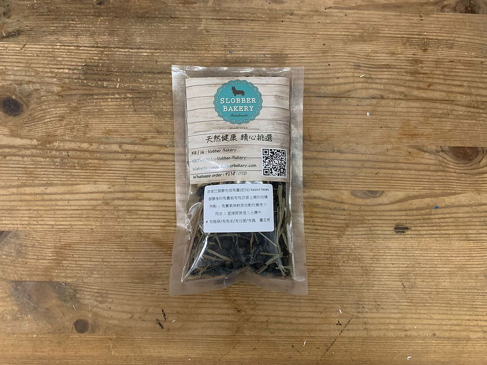 縮圖：SLOBBER BAKERY - 鮮草盆栽 - 種籽