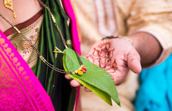 Shyamlee&Amogh-Wedding25