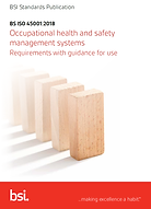 45001 Standard Cover.png