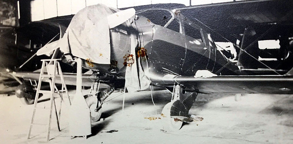 Wallis's Plane