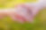iStock-658220270.jpg