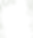 2.14.24 PF Banner-04.png