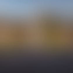 Discover Luxury Living in this Stunning New Construction Home in Arcadia