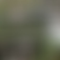 Discovering Unique Gifts and DIY Fun at Jade & Clover: An Arcadia Small Shop Highlight