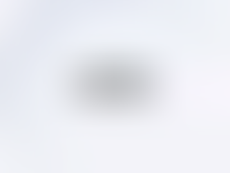 선퍼니처 목재방화문 디도어 B2G 캠페인: 브랜드 성장과 마케팅 전략