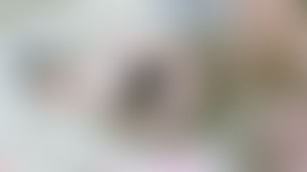 감성 카메라 인스탁스 퍼포먼스 전략