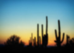 landscape-nature-horizon-silhouette-cactus-cloud-951360-pxhere.com.jpg