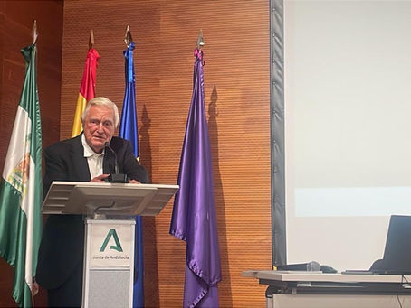 XVII Congreso Internacional. Jaén, España. Octubre 2025.